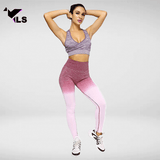 Bas de Femme en Nylon et Spandex Rose