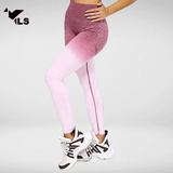 Jambière en Nylon et Spandex Rose