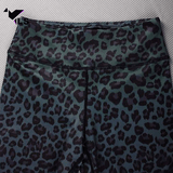 legging taille haute python zoom taille 600x600px
