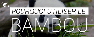 Pourquoi Utiliser du Bambou ?